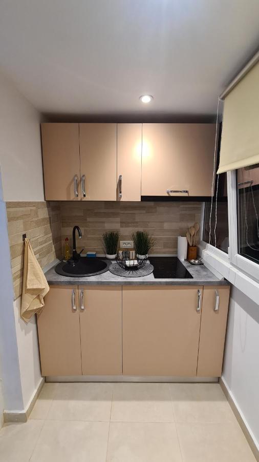 Apartment Studio Albert Râmnicu Vâlcea
